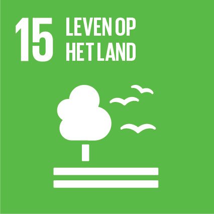 SDG 15 BIM4 ALL